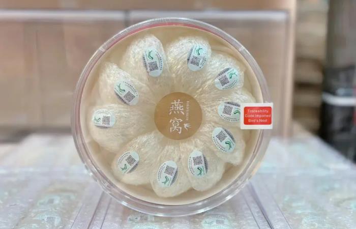 四子王旗虫草回收店还行